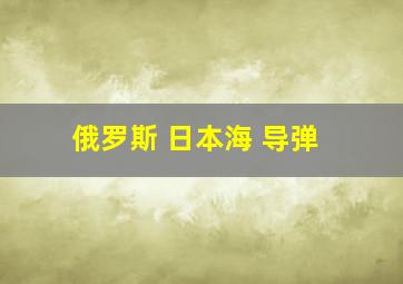 俄罗斯 日本海 导弹